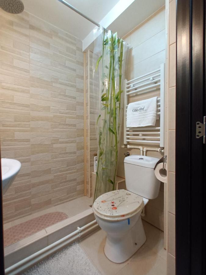 Studio Central Hunedoara Zewnętrze zdjęcie