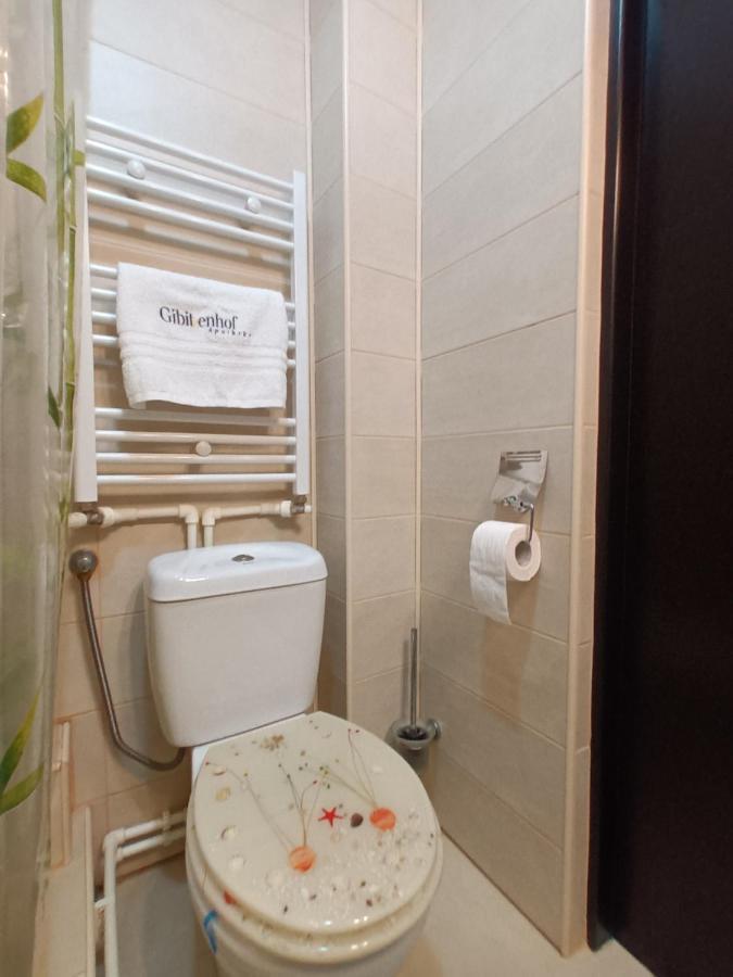 Studio Central Hunedoara Zewnętrze zdjęcie